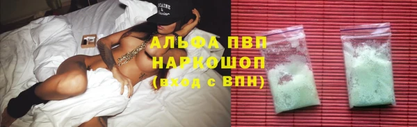 стафф Волоколамск