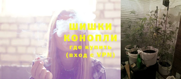 стафф Волоколамск