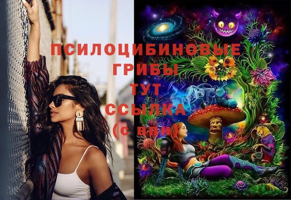 стафф Волоколамск