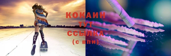 PSILOCYBIN Волосово