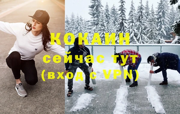 PSILOCYBIN Волосово