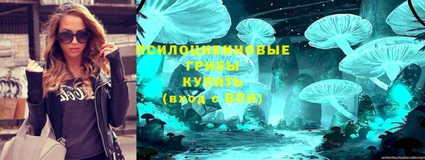 PSILOCYBIN Волосово