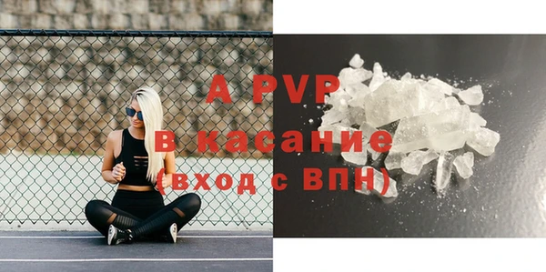 PSILOCYBIN Волосово