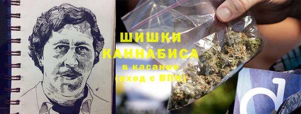 PSILOCYBIN Волосово