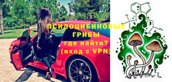 гашик Володарск